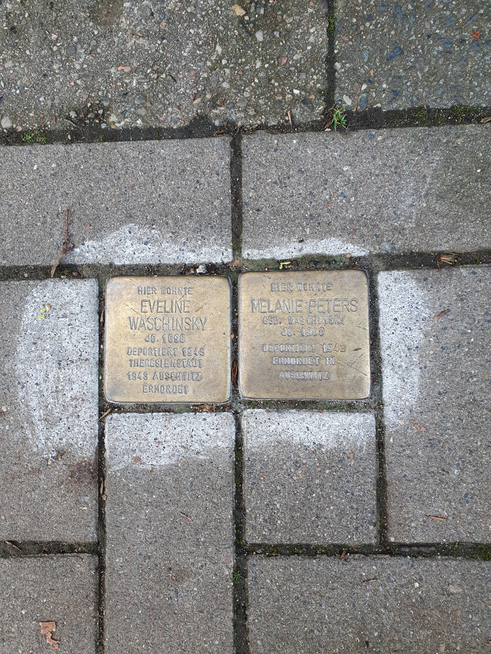 3529 Stolperstein Waschinsky